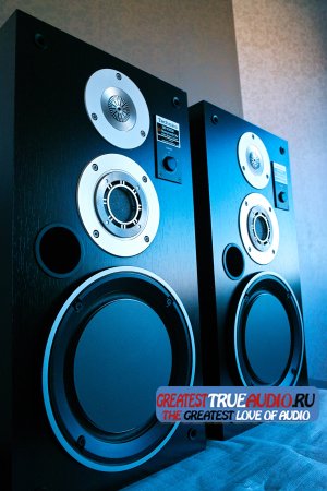 TECHNICS SB-X 300A